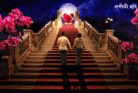 রাত্রির মায়া জালে 