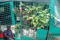 চলন্ত বাগানে ভ্রমণের সুযোগ