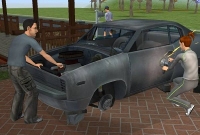 এবার গাড়ি তৈরিতে হবে গাছের ব্যবহার