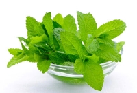 তুলসী পাতায় দ্রুত সারবে ৪টি ভয়ঙ্কর রোগ