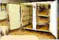 লাশকাটা ঘরে নড়েচড়ে উঠলো লাশ!