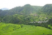 ভূতের ভয়ে গ্রামছাড়া মানুষ!