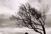 গর্ব করি কারণ আমি মধ্যবিত্ত