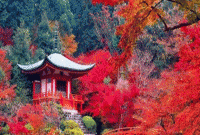 স্বর্গীয় সৌন্দর্যে বর্ণিল ১৫ টি স্থান