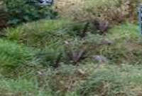 জেনে নিন, মারা যাওয়ার পর মৃত ব্যক্তির প্রশংসা করা উচিত নাকি সমালোচনা উচিত