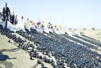 খরা মোকাবিলায় ৯,৬০,০০০০০ বল!