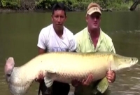 ছিপে ধরা ২০০ কেজির মাছ!