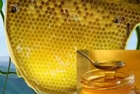 খাঁটি মধু চেনার ৪টি সহজ উপায়