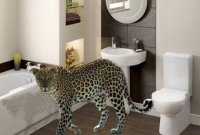 ঘরে ঢুকে টিভি দেখল চিতাবাঘ