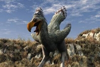 সাড়ে পাঁচ কোটি বছর শাসন করা ‘ভয়াল পাখি’!