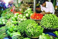 রংপুর কৃষিতে বিপ্লব, তবুও দিশাহারা চাষীরা রংপুর কৃষিতে বিপ্লব, তবুও দিশাহারা চাষীরা
