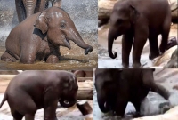 হরির খেলায় অবাক হবেন মেসি-নেইমারও