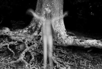 রাতে নারকেল গাছে ভূতের হাসি, ভয়ে ঘুম হারাম