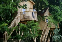 অসম্ভব সুন্দর ‘গাছ-হোটেল’!