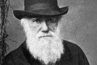 ৪০ বছর বয়সের পর ধনী হয়েছেন যারা ৪০ বছর বয়সের পর ধনী হয়েছেন যারা