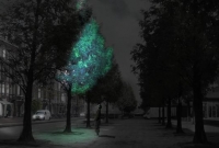 ল্যাম্পপোস্টের পরিবর্তে রাস্তায় আলো ছড়াবে গাছ!