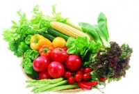 সুস্থ থাকতে বর্ষাকালে মেনে চলুন বিশেষ কিছু ডায়েট