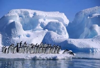 এন্টার্কটিকা মহাদেশের আশ্চর্যকর ২০টি অজানা তথ্য