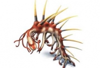 পৃথিবীর সবচেয়ে ‘উদ্ভট’ প্রাণী