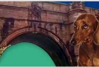 'ভূতুড়ে' ব্রিজ থেকে ৬০০ কুকুরের মরণ-ঝাঁপ, আতঙ্কিত মনোবিদরা!