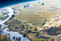 ১৬ কেজির শজারু গিলে ফেলে ছটফট, অজগরের ময়নাতদন্ত!