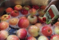 খাবারে ফরমালিন দূর করুন মাত্র ১৫ মিনিটে!