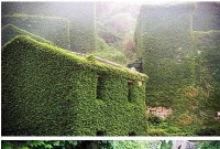 ভূতের গ্রাম, গেলে মন ভালো হয়ে যাবে!