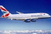 বিমান নামিয়ে আনলো মৌমাছি!