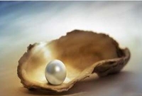 দুর্লভ মুক্তার সন্ধান