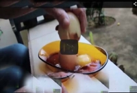 সোনার মুরগি!