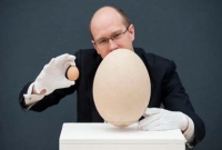 একটি ডিমের দাম ৭৭ হাজার ডলার!