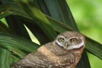 অতি প্রচলিত ১০ কুসংস্কারে যত কথা