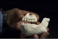 নতুন মানুষের সন্ধান মিলল ‘চাঁদের পাহাড়ে’!