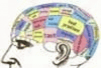 মস্তিষ্কে স্মৃতি ধরে রাখা-মুছে ফেলার যন্ত্র! 