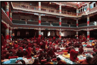 যে গ্রামের মৃতদেহ খুবলে খায় শকুনে 