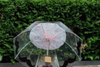 রোদ হবে না বৃষ্টি হবে জানাবে ‍‘ছাতা’  ফন্ট 