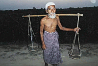 মা‌টি কিন‌বেন, মাত্র ৫ টাকা ! 