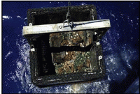 সমুদ্রের অতলে কাড়ি কাড়ি গুপ্তধন! 