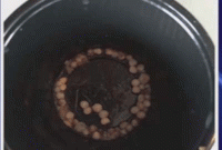 কামড় দিতেই মুখ ভরে যায় মুক্তায় 