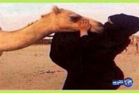 উটকে ভালোবাসায় স্ত্রীকে তালাক