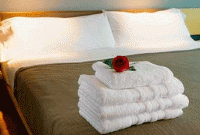 সাবধান! অবৈধ তাই লোভ সামলান 