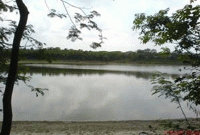 ঝিনাইদহের রাজা মুকুটের ঢোল-সমুদ্র-দীঘি