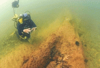 সাগরের নিচে ১০ হাজার বছর আগের বনের সন্ধান