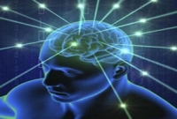 জোরে কথায় নিয়ন্ত্রণ হারায় মস্তিষ্কের কিছু অংশ