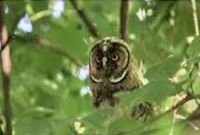 ব্যতিক্রমী হুঁশিয়ারি!