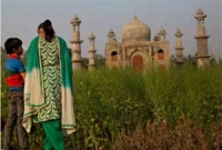 স্ত্রীর স্মৃতিতে 'নতুন তাজমহল' শাহজাহানের