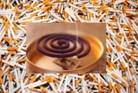 ১ মশার ধূপ ১০০ সিগারেটের সমান ক্ষতিকর!