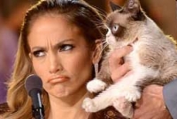 অবিশ্বাস্য আয়ের এক বিড়াল!