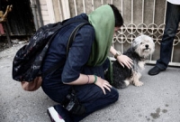 দীর্ঘ ১ বছর পর মালিককে খুঁজে পেল কুকুর