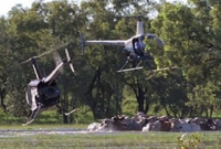 যেখানে গরু চরাতে হেলিকপ্টার